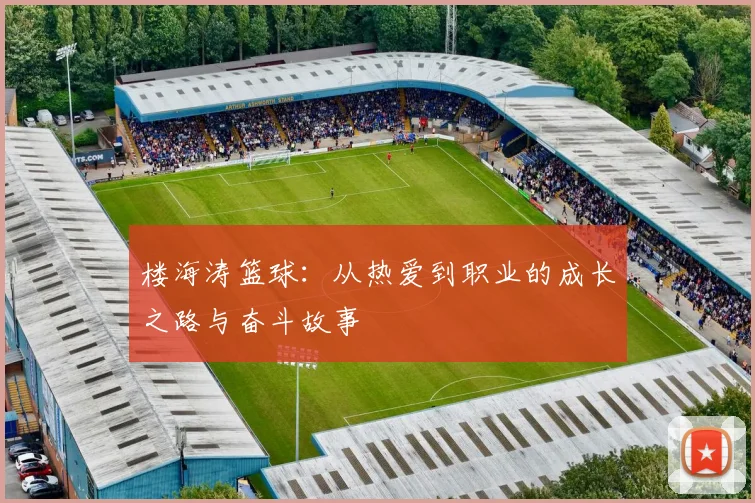 楼海涛篮球：从热爱到职业的成长之路与奋斗故事