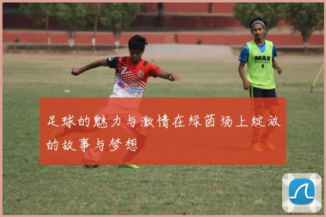 足球的魅力与激情在绿茵场上绽放的故事与梦想