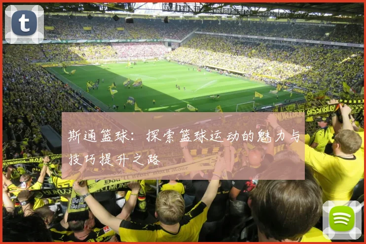 斯通篮球：探索篮球运动的魅力与技巧提升之路